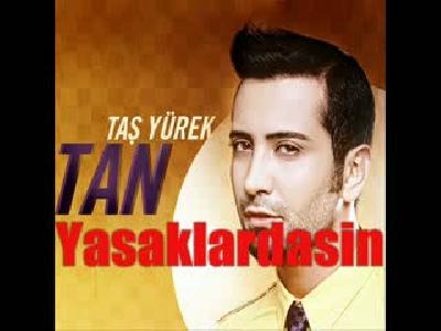 Tan Taşçı Elbise