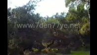 video Barış Manço Nerede