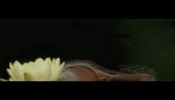 video EBRU GÜNDEŞ-ÇOKMU GÖRDÜNÜZ-YAKAMOZ-CY