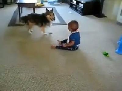 köpekle bebiş oyun oynuyo